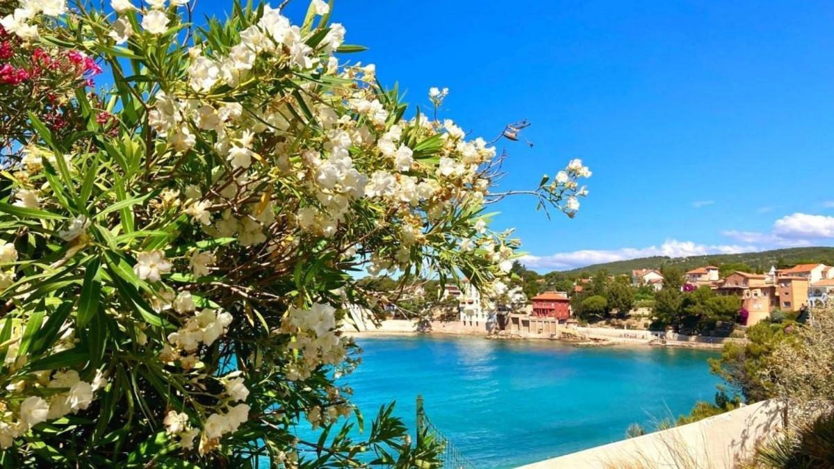 Superbe Appartement En Bord De Mer Bandol Εξωτερικό φωτογραφία