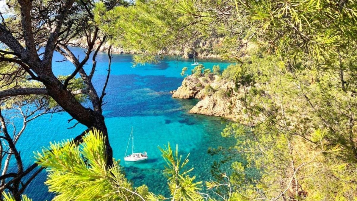 Superbe Appartement En Bord De Mer Bandol Εξωτερικό φωτογραφία